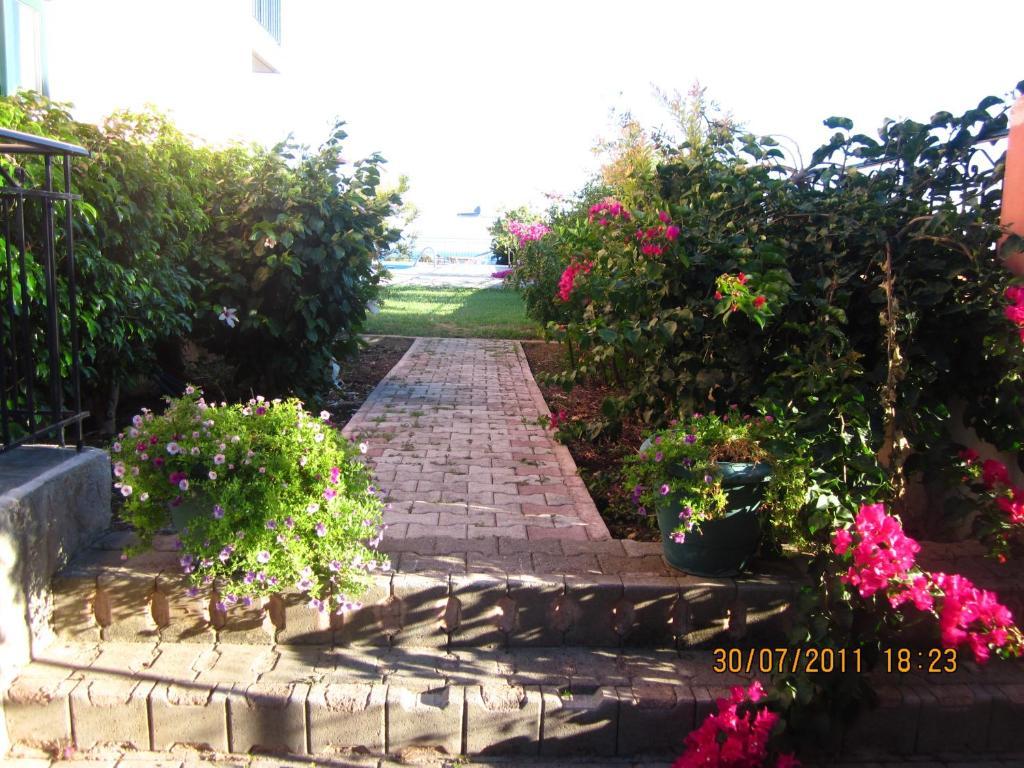 Gerasimoula Studios Трапезаки Номер фото